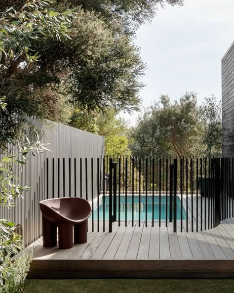 Curved Fence, Pool Sitting Area Ideas, Small Alfresco Ideas Australia, Pool Fencing, Pool Area Ideas Australia, Pool Fencing Ideas Australia, Pool Fence Ideas Australia, Alfresco Ideas Australia, Pool Fencing Landscaping