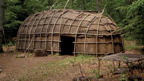 What are the main differences between a wigwam and a tepee? Native American Houses, Native American Knowledge, Primitive Houses, Survival Skills Emergency Preparedness, Native American Teepee, Woodland Indians, Bushcraft Shelter, Eastern Woodlands, Colonial Times