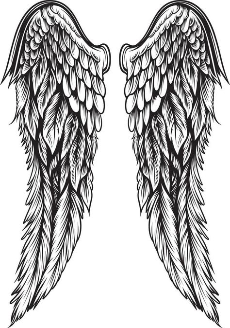 Wings Illustration in tattoo style Angel Wing Back Tattoo For Men, Wings Tattoo On Back For Men, Wings Vector Design, White Angel Wings Aesthetic, Angel Wings Tattoo Man, Angel Wing Tattoo Designs, Angel Wings Tattoo Stencil, Angle Wing Tattoos, Angels With Wings