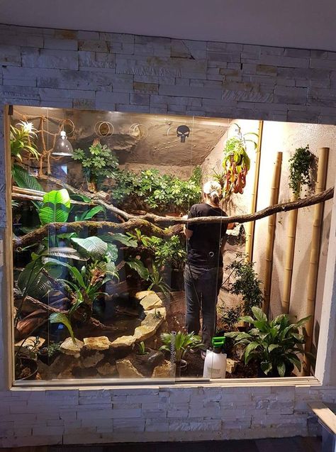 Diy Reptile, Snake Enclosure, Pets Stuff, Pet Bird Cage, Turtle Habitat, Reptile House, Reptile Room, Rabbit Cages, Pet Turtle