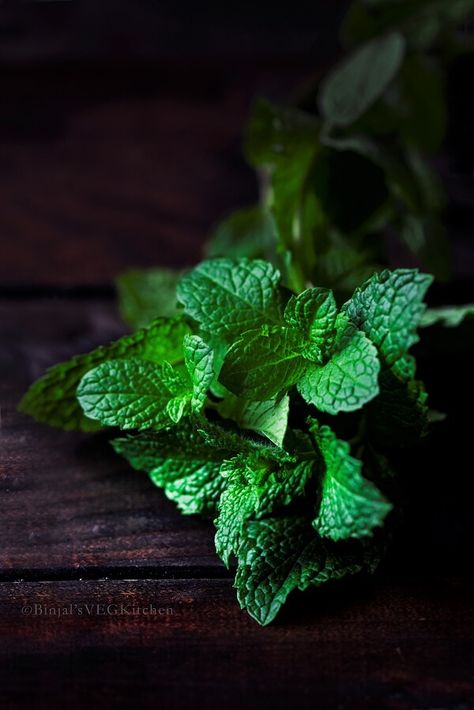 Lassi Recipes, Vegetables Photography, Dark Food Photography, Magia Das Ervas, Food Photography Inspiration, Fresh Mint Leaves, Spices And Herbs, Peppermint Essential Oil, Fruit And Veg