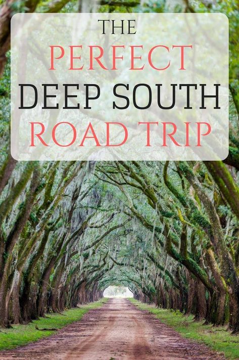 Southern Road Trips, Trip With Friends, Road Trip Packing, Road Trip Routes, Road Trip Destinations, Au Pair, Us Road Trip, Road Trip With Kids, Deep South