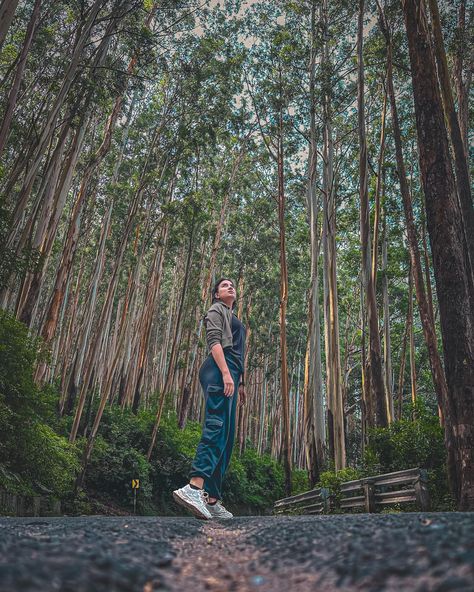 Camouflage 👀 Best Assistant Photographer @shivangiiagarwal . . . . #camouflage #ooty #pineforest #roadtrip #forestphotography #roadphoto #hill #tamilnadu Hill Photography Ideas, Pine Forest Ooty Photography, Pine Forest Ooty, Photography Poses In Ooty, Pose Ideas Nature, Photoshoot In Ooty, Photo Poses In Mountains, Forest Pictures Instagram, Hill Photoshoot Ideas