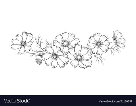 Black silhouette of a garland of cosmos flowers vector image Cosmos Flower Vine Tattoo, Cosmo Flower Line Art, Cosmos Flower Sketch, Cosmos Line Drawing, Lily And Cosmos Tattoo, Cosmos Drawing Flower, Cosmos Flower Illustration, Cosmos Tattoo Design, Flower Garland Drawing