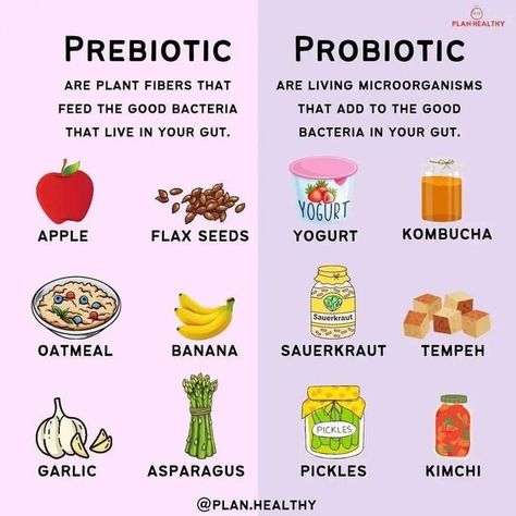 thegurlhealth on Instagram: "The human gastrointestinal tract is colonised by a complex ecosystem of microorganisms. Intestinal bacteria are not only commensal, but they also undergo a synbiotic co-evolution along with their host. Beneficial intestinal bacteria have numerous and important functions, e.g., they produce various nutrients for their host, prevent infections caused by intestinal pathogens, and modulate a normal immunological response. Therefore, modification of the intestinal microbi The Fast 800, Fast 800, Prebiotic Foods, Clean Eating Plans, Gastrointestinal Tract, Probiotic Benefits, Healthy Facts, Prebiotics And Probiotics, Probiotic Foods