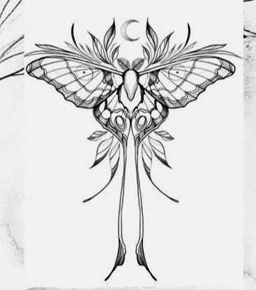 Chinese Moth Tattoo, Large Moth Tattoo, Lunar Moth Back Tattoo, Lunar Moth Tattoos, Delicate Moth Tattoo, Lunar Moth Drawing, Luna Moth Tattoo Design, Luna Moth Drawing, Moon Moth Tattoo