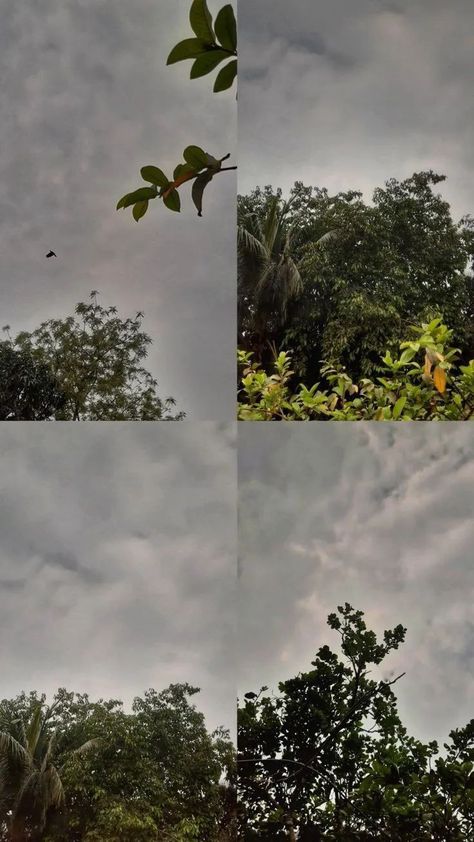 Fake Ig Photos, Fake Ig Stories, Fake Insta Story, Rainy Sky, Rainy Day Aesthetic, Sky Photography Nature, Nature Instagram, Simple Phone Wallpapers, Dark Nature Aesthetic