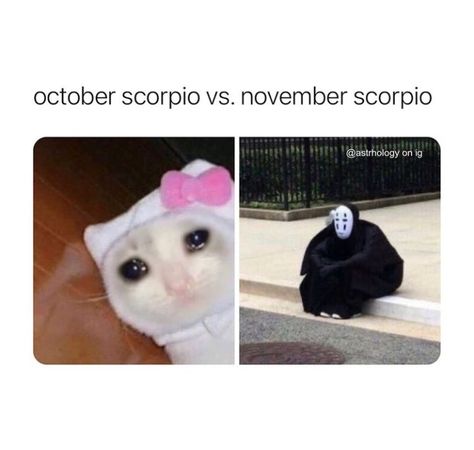 Humour, October Scorpio, November Scorpio, Scorpio Funny, Isfj Personality, Scorpio Art, Relationship Astrology, Scorpio Zodiac Facts, Scorpio Quotes