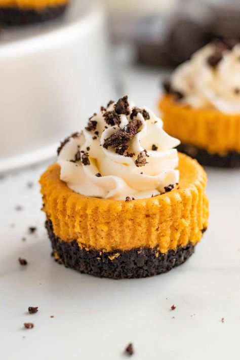 Pumpkin Oreo Cheesecake, Handheld Desserts, Simple Cheesecake, Oreo Crust Cheesecake, Pumpkin Cheesecakes, Cheesecake Easy, Cookbook Shelf, Mini Pumpkin Cheesecake, Monster Munch