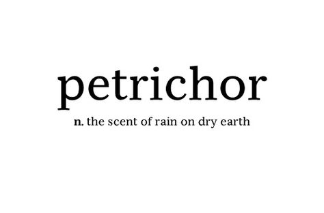 petrichor (d) | Flickr - Photo Sharing! Unusual Words, Rare Words, Word Up, Favorite Words, Word Of The Day, Wonderful Words, Love Words, New Words, Pretty Words