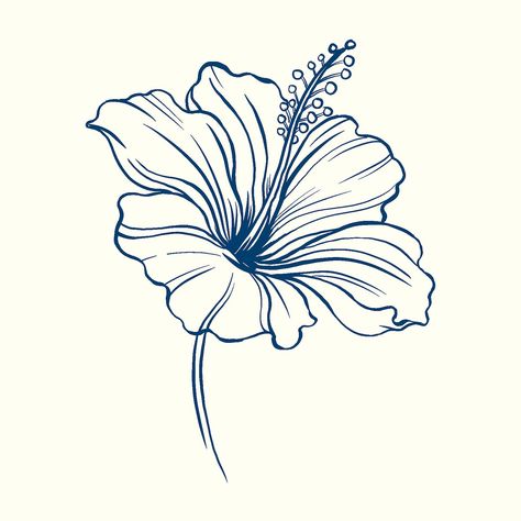 Hibiscus flower sticker, blue vintage botanical illustration psd | free image by rawpixel.com / ton Hibiscus Sketch, Hibiscus Flower Sticker, Hibiscus Drawing, Hibiscus Flower Drawing, Hibiscus Flower Tattoos, Purple Art Abstract, Hibiscus Tattoo, Doodle Art Flowers, Flower Logo Design