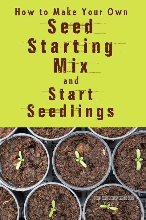 Chicken Composting, Dirt Recipe, Seed Starting Soil, Seed Raising, Grafting Plants, Seedling Pots, Seed Starting Mix, Diy Raised Garden, Seed Starter