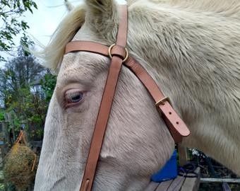 Horse Braiding, Leather Store, Horse Equipment, Horse Gear, Horse Diy, Bridles, Hobby Horse, Horse Training, Leather Projects