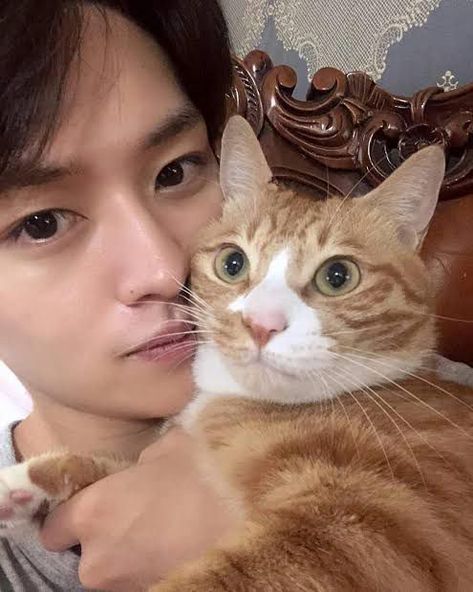 𝐁𝐫𝗼- 𝐢 𝐭𝐡𝐢𝐧𝐤 𝐢𝗺 𝐠𝐚𝐲 - 열넷 - Wattpad Kawaii, Soonie Doongie Dori, Minho's Cats, Lee Minho Stray Kids, Stray Kids Minho, Lee Know Stray Kids, Fan Fiction, Kim Jisoo, All About Cats