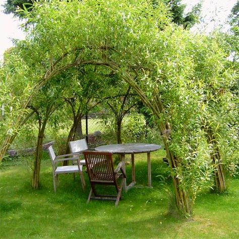 Pergola Diy, Farmhouse Garden, Have Inspiration, The Secret Garden, Small Garden Design, Garden Structures, Garden Cottage, Backyard Landscaping Designs, Dream Garden