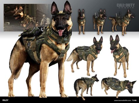 Dog Armor, Future Military, Zombie Apocalypse Outfit, Dog Soldiers, Call Of Duty Warfare, Army Dogs, Space Story, Military Drawings, Call Off Duty