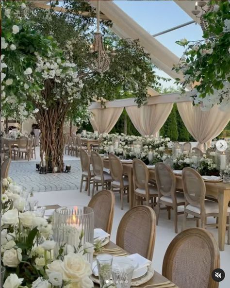 Garden Chic Wedding Decor, Trees Wedding Decor, Garden Reception Wedding, Tree Wedding Reception, Day Time Wedding, Tree Wedding Decor, Married Decor, White Garden Wedding, Event Aesthetic