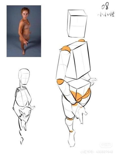 Drawing Reference Photos, Bujo Art, Human Body Drawing, Human Figure Sketches, Sketch Poses, Human Anatomy Drawing, Body Drawing Tutorial, Human Anatomy Art, Anatomy Sketches