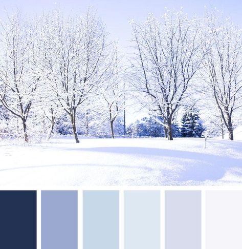 Finding Beauty in the Snow❄️☃️🌨  Living in Michigan, snow is an unavoidable part of our lives.  There is nothing more beautiful than branches covered in a fresh blanket of snow!  We love this color palette with the soft grays and blues in this winters landscape. Color Pallet For Bedroom, Winter Color Inspiration, January Color Scheme, Winter Color Aesthetic, January Colour Palette, Beautiful Color Pallets, Winter Color Pallets, Light Blue And White Color Palette, Icy Color Palette