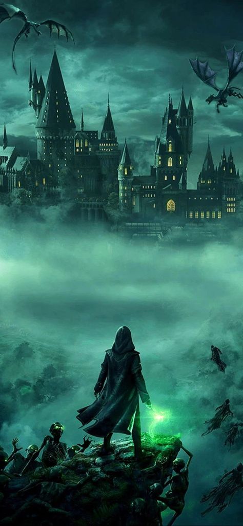 Harry Potter 4k, Harry Potter Portraits, Harry Potter Wallpaper Backgrounds, Slytherin Wallpaper, Dark Harry, Harry Potter Games, Harry Potter Background, Handy Wallpaper, Harry Potter Illustration