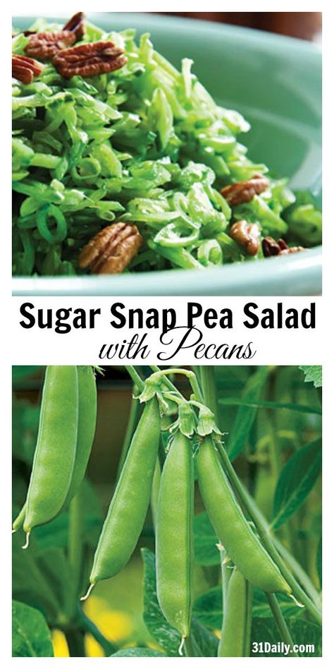 Sugar Snap Pea Salad with Pecans Snap Pea Salad Recipes, Pickled Snap Peas, Snow Pea Salad Recipe, Snap Peas Salad, Snap Pea Recipes, Snap Pea Recipe, Sugar Snap Pea Salad, Peas Salad, Sugar Snap Pea Recipe