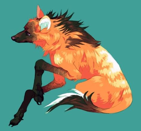 Trendy Tattoo Ideas, Maned Wolf, Trendy Tattoo, Canine Art, Tattoo Ideas Female, Animal Illustrations, 수채화 그림, Character Inspo, Game Ideas