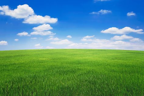 green grass field with blue sky ad white cloud. nature landscape background Background Grass Nature, Blue Sky Green Grass Aesthetic, Grass Background For Editing, Nature Photography Landscape Scenery, Sky And Grass Background, Sky Background Landscape, Nature Background Landscape, Picture Overlay, Sky With Trees