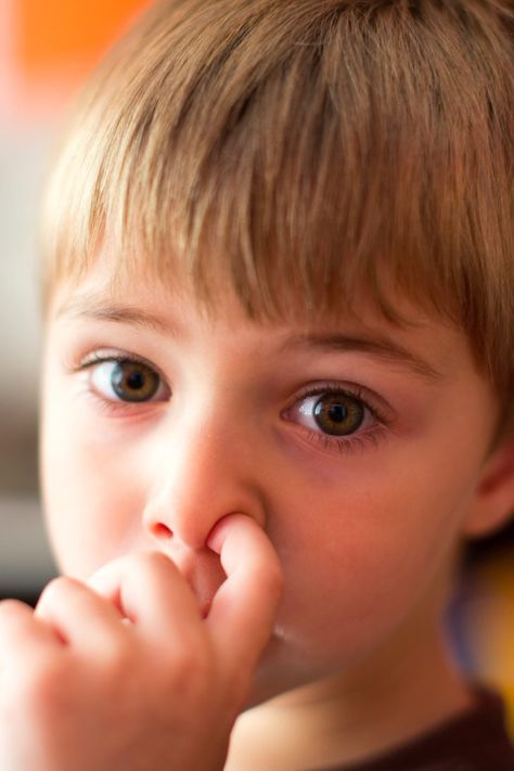 New Study Reveals Why Nose-Picking, Booger-Eating Kids Are Actually Healthier Innsbruck, Nose Picker, Nose Picking, Dutch People, Teeth Health, Everything Baby, Real Life Stories, Healthy Kids, Our Kids