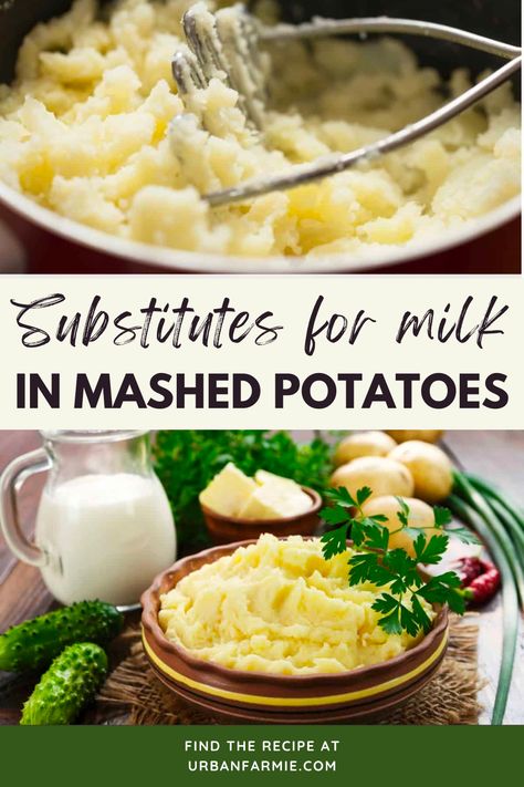 Classic mashed potatoes recipes typically use milk to develop a creamy texture and great flavor. However, if you are on a dairy-free or vegan diet, don't have any milk on hand, or simply don't want to use milk, don't worry! Read on to find out more about common substitutes for milk in mashed potatoes, ratios for substitution, and things to keep in mind while using these in place of milk. Lactose Free Mashed Potatoes, Mashed Potatoes No Milk, Instant Mashed Potatoes Recipes, Mashed Potatoes Without Milk, Boxed Mashed Potatoes, Mashed Potatoes Recipes, Cooking Mashed Potatoes, Evaporated Milk Recipes, Dairy Free Mashed Potatoes