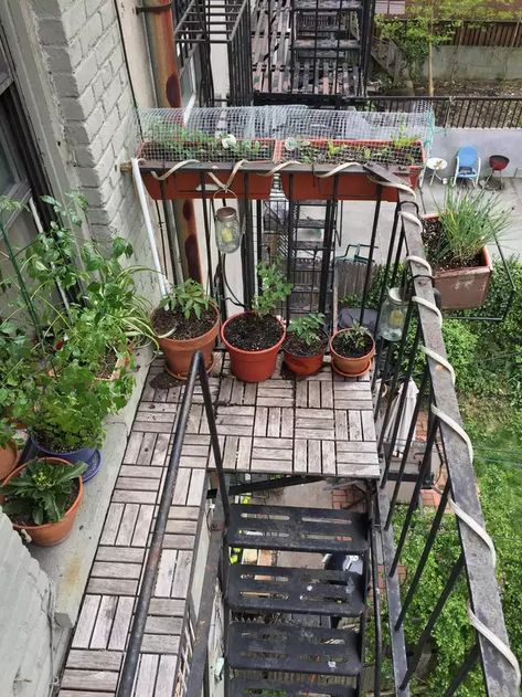 My fire escape garden in NYC - Imgur Fire Escape Garden, Tiny Deck, Lost Symbol, New York Studio Apartment, Apartment Deck, Ikea Wood, Wood Tiles, Backyard Plan, Backyard Balcony