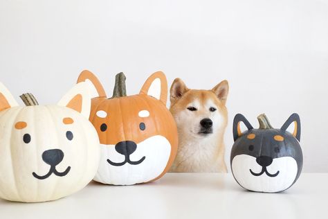 Puppy Pumpkin Painting, Cat Painted Pumpkin, Creative Pumpkin Painting, Creative Pumpkin Decorating, Halloween Board, Dog Pumpkin, Pumpkin Contest, Pumpkin Painting Ideas, Halloween Pumpkin Designs