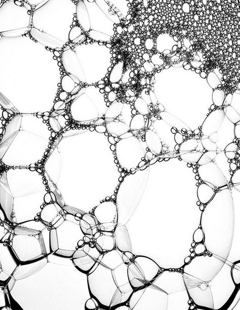 Robin Broadbent Photography Monochrome Color, Organic Pattern, Backgrounds Wallpapers, Things Under A Microscope, Art And Illustration, Mark Making, White Photo, Patterns In Nature, Color Textures