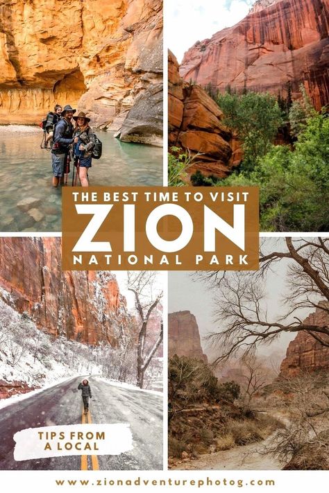 Discover the best time to visit Zion National Park for winter adventures, family-friendly itineraries, and breathtaking photography opportunities | Click for our FREE Zion 101 guide Zion Hikes, Outdoor Adventure Photography, Cold Weather Hiking, Snow Canyon State Park, Road Trip Map, Breathtaking Photography, National Park Vacation, National Park Road Trip, Hiking Guide