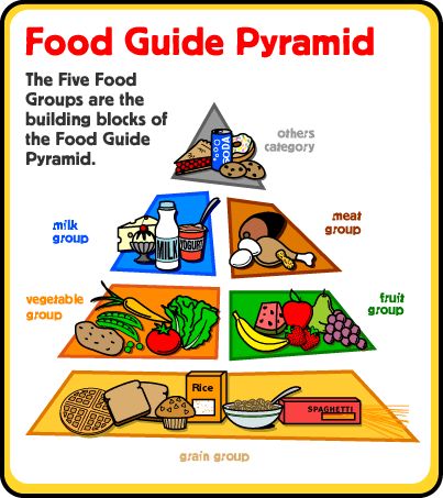 Healthy Food for Kids | Easy Science for Kids Food Guide Pyramid, Food Pyramid Kids, Five Food Groups, Sistem Saraf, What Is Healthy Food, Adolescent Health, Nutrition Drinks, Healthy Food Facts, Food Pyramid