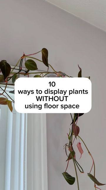 20K views · 1.3K likes | Samantha Hermann on Instagram: "Do you have unique ways to display houseplants? I’d love to hear it in the comments! When you have a lot of plants you have to get creative 😅 All of these work great for people with kids or pets that mess with the plants if they’re on the ground. Remember, light is still so important when we’re putting plants on the walls. You may need to add a grow light if you have a spot you want a plant but the sunlight is low. I have a special discount code that stacks with Amazon discounts right now for my favorite clip light! They’re perfect for plants in tight spaces or for that extra boost of light. Comment ‘light’ and I can send you the link & code. I’ve linked all I can in my Amazon storefront in my bio — if you’d like to shop what y Ways To Organize Plants, Creative Plant Grow Lights, Plant Shelves In Front Of Sliding Glass Door, Unique Houseplant Display, Indoor Plant Wall With Grow Lights, Indoor Plant Display With Grow Lights, Plant Shelf Ideas With Grow Light, Indoor Plant Setup Small Space, Plant Placement In Bedroom