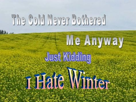 I Hate Winter, Winter Funny, Things Quotes, Hate Winter, Quotes Ideas, Best Cleaning Products, Joke Of The Day, Clean Humor, Just Kidding