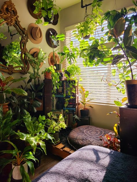 Rooms Full Of Plants, Vintage Plant Aesthetic Room, Vintage Plant Room, Plant Parent Aesthetic, Cozy Plant Bedroom, Plant Filled Room, Aesthetic Plant Pot, Pot Garden Ideas, Gardener Quotes