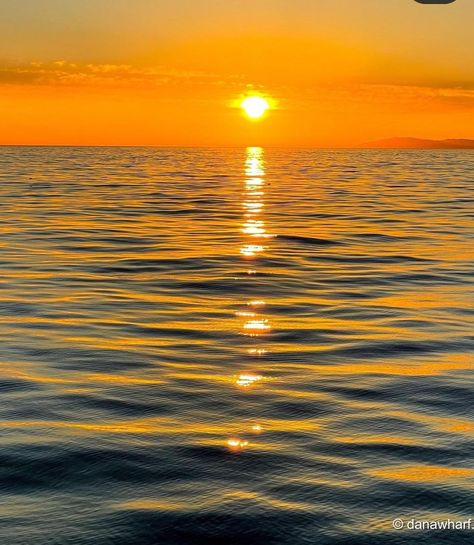 Sunset On Water, Ap Ceramics, Sun And Ocean, Sunset Over Water, Sun Pictures, Colorful Sunsets, Water Sunset, Beach Pics, Picture Illustration