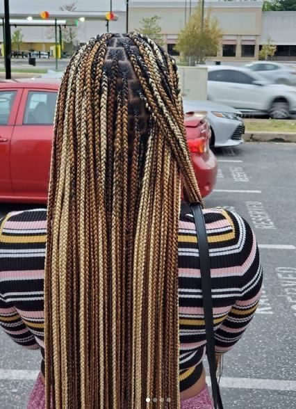 Box Braids Different Colors, Braids Different Colors, Braid Colors, Brown Box Braids, Colored Box Braids, Braids Styling, Blonde Box Braids, Cute Braids, Big Box Braids Hairstyles