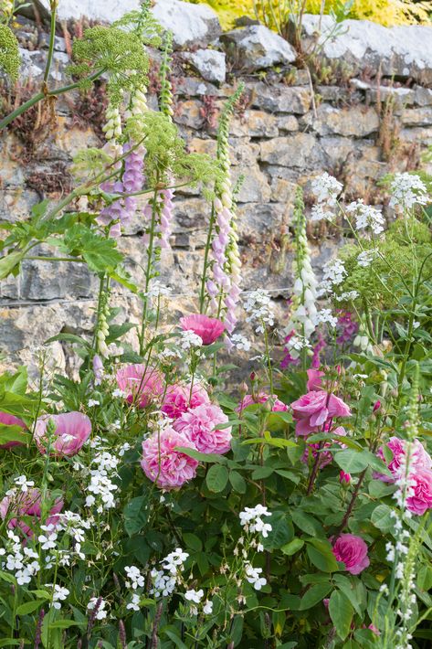 Cottage Backyard Ideas, Backyard Cottage Garden, Dreamy Gardens, Cottage Backyard, Tiny Gardens, Country Manor House, Estate Gardens, Garden Plot, English Estate