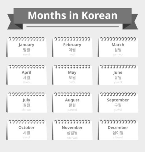 The 12 months of the year in Korean 12 Phrases In Korean, Korean Months Of The Year, Month In Korean, Korean Months, Months In Korean, Name Of Months, Korean Vocab, 12 Months Of The Year, Korean Letters