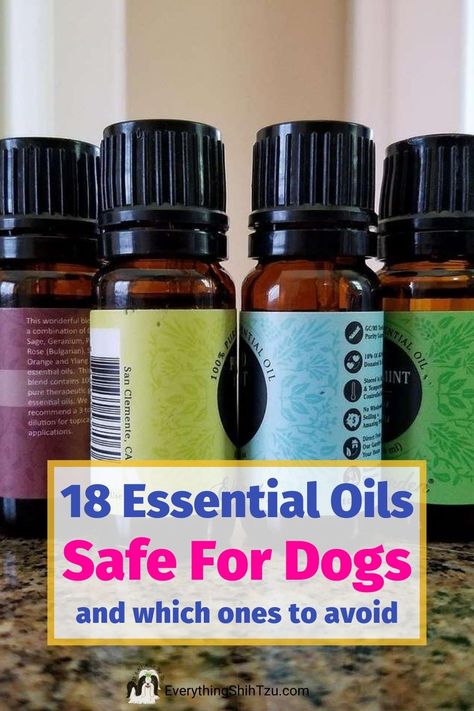 Essential Oils Bad For Dogs Diffuser, Diy Dog Shampoo With Essential Oils, Dog Perfume Diy Essential Oils, Essential Oils Dogs Not Safe, What Essential Oils Are Bad For Dogs, Essential Oils That Are Bad For Dogs, Diy Dog Cologne Recipes, Essential Oils Good For Dogs, Essential Oils Not Safe For Dogs