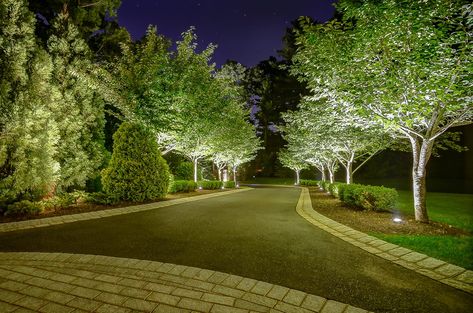 Elegant Landscaping, Stone, and Lighting Harding Township, NJ Sponzilli Desgner:Andrew Lastella Project Manager:Jason Sponzilli Project Description:This gorgeous estate is a showcase of exquisite plantings, hardscaping, and landscape lighting. Everything in the landscape plan speaks of elegance, complementing and enhancing this beautiful home. Project Scope:A grand stone entrance gate with privacy plantings and impressive lighting leads ... Read more Luxury Driveway, Elegant Landscaping, Front Garden Ideas, Lined Driveway, Beautiful Driveways, Driveway Entrance Landscaping, Park Lighting, Elegant Landscape, Tree Lined Driveway