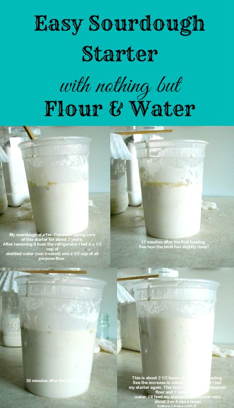 how to make sourdough starter, easy sour dough starter, how to, Make Sourdough Starter, Make A Sourdough Starter, Sourdough Starters, Sourdough Bread Starter, Dough Starter, Bread Starter, Sourdough Starter Recipe, Sour Dough, Baking Bread