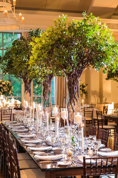 Towering tree centerpieces at stunning indoor southern wedding at Atlanta History Center in Georgia. Brought to life by Florist- Edge Design Group, Planner- TOAST Events and Photographer- Vue Photography. Tree Inspired Centerpieces, Tree Like Centerpieces, Tall Tree Centerpieces Wedding, Vintage Wedding Indoor, Fruit Tree Centerpiece Wedding, Trees For Weddings, Wedding Decor Trees Indoor, Indoor Tree Wedding Decor, Trees Centerpieces Wedding