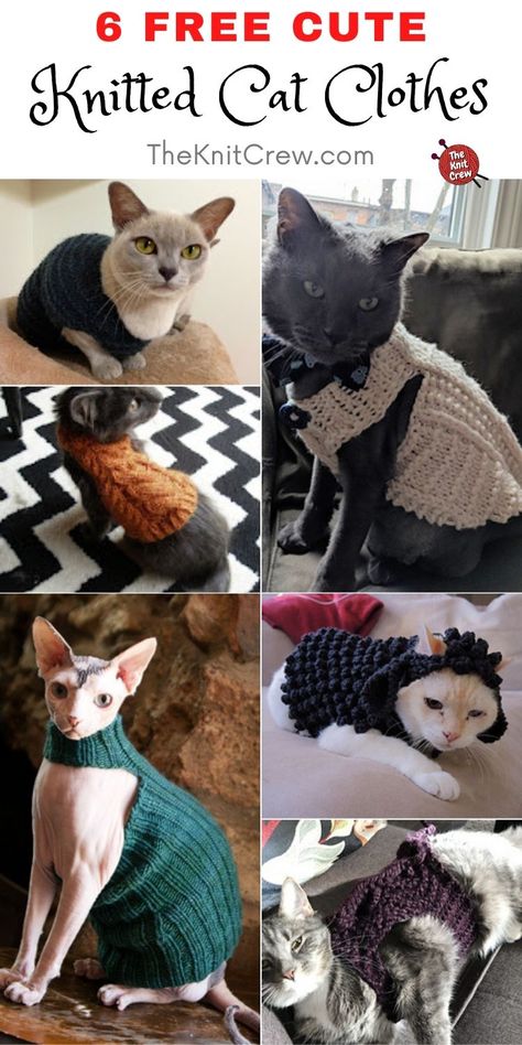 Cat Sweater Knitting Pattern, Cat Sweater Pattern, Knitting Patterns For Dogs, Knitting Patterns Free Dog, Kitten Sweater, Chat Sphynx, Dog Sweater Pattern, Pet Sweaters, Knitting Patterns Free Sweater