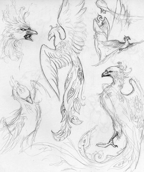 Flamin' chikkins ;D Phoenix Drawing, Phoenix Tattoo Design, Phoenix Art, Creature Drawings, Mythical Creatures Art, Animal Sketches, Bird Drawings, Charcoal Drawing, Creature Art