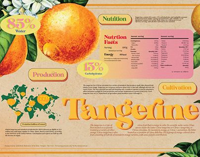 Fruit Infographic, Illustration Product, Photoshop Adobe, Infographic Design, Freelancing Jobs, Graphic Design Illustration, Design Illustration, Product Design, Adobe Photoshop