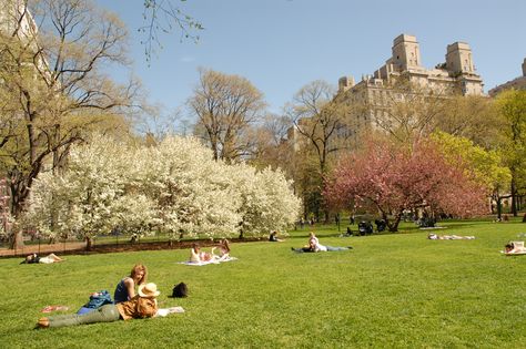 Pack up your basket with delectable treats and head to one of these secluded areas in Central Park in New York Chemnitz, Picnic In Central Park, Central Park Picnic, 숲 사진, Honeymoon Places, Nyc Park, Park In New York, Picnic Spot, Outdoor Food