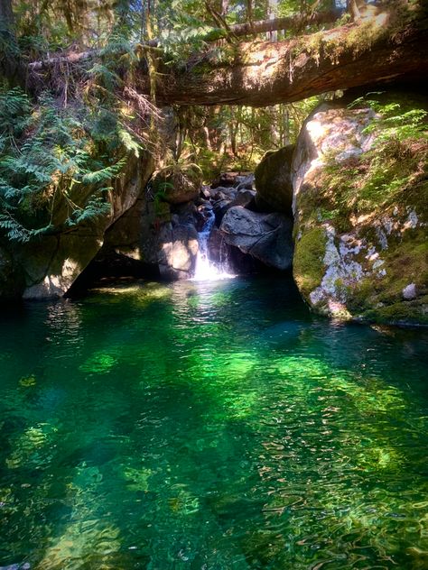 Pic cred: Me this picture is of a little waterfall off of the normal path at Deception Falls in Washington Waterfalls Washington State, Panther Creek Falls Washington, Waterfall In Forest Aesthetic, Athirapally Waterfalls Photography, Paradise Falls, Day Trips, Washington, Paradise, Vision Board